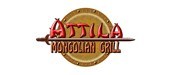 mall-of-qatar-restaurants-doha-atilla-mongolian-grill