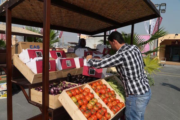 qatar-farmers-markets-mahaseel-festival-katara-village-tomatoes
