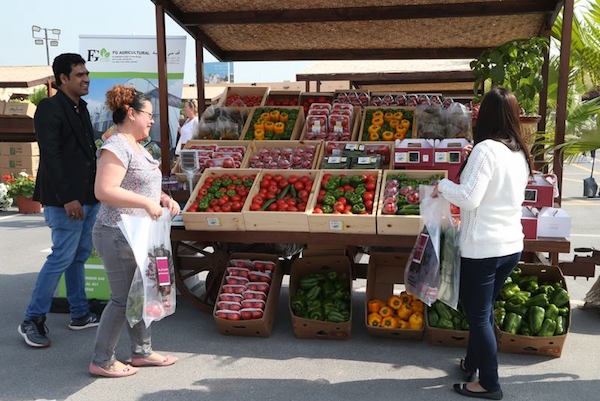 qatar-farmers-markets-mahaseel-festival-katara-village-vegetables-stall