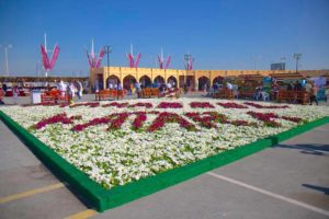 Katara Farmers Market is Back!