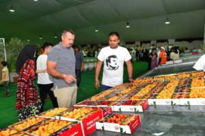 Qatar’s Date Festival Draws in the Crowds